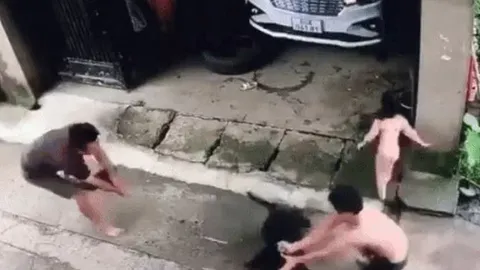 Bé gái bị chó lao vào tấn công, người đàn ông liều lĩnh lấy thân mình che chắn