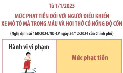 Mức phạt tiền đối với hành vi vi phạm phổ biến của ô tô, xe máy từ 1/1/2025