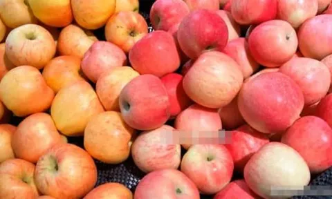 Khi mua táo hãy nhớ chọn những quả 'mẹ'! Chú ý điểm này và chọn đúng, tất cả những quả bạn mua sẽ có vị ngọt, giòn