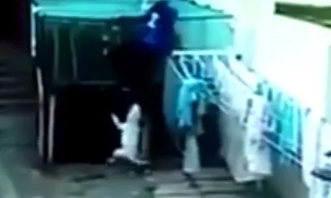 CLIP: Vào nhà dân ăn trộm, nam thanh niên gặp ngay 2 con chó Pitbull và cái kết 'kinh hoàng'