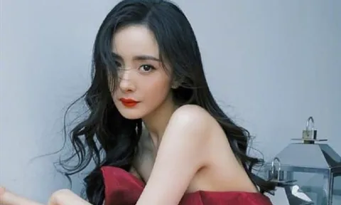 Lưu Khải Uy vạch trần nội tình tài sản ly hôn mới nhận ra Dương Mịch được nhiều hơn mất