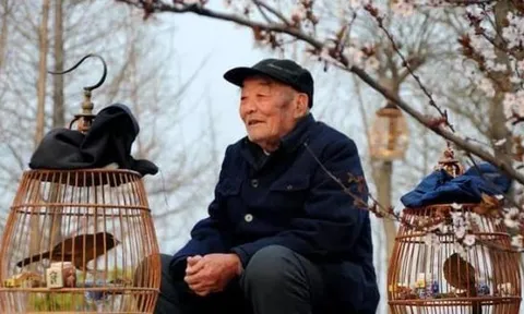 Ở nông thôn xưa có câu: 'Đàn ông sợ đi ủng, đàn bà sợ đội mũ' Tại sao lại nói như vậy?