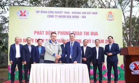 Công ty Nhôm Đắk Nông: Tăng tốc ngay những ngày đầu năm mới 2025