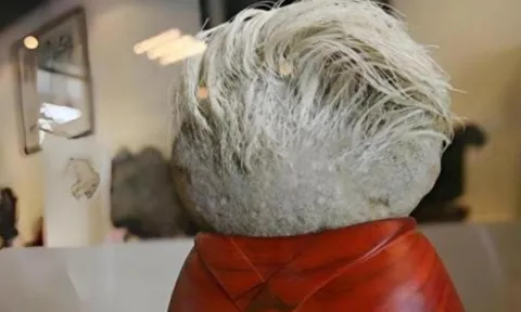 Một ông già nhặt một viên đá mọc 'tóc trắng' trên đó. Các chuyên gia nhìn vào và ngay lập tức phong tỏa toàn bộ ngôi làng