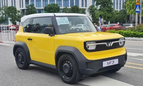 Những mẫu ô tô 'gây sốt' tại thị trường Việt Nam trong năm 2024