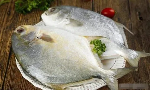 Người sành ăn tiết lộ 6 loại cá biển tự nhiên, không nhân tạo, thịt ngon mà giá lại phù hợp với túi tiền