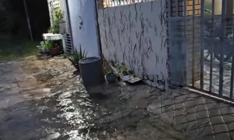 Clip: Cận cảnh hàng nghìn con giun chui lên mặt đất, leo tường nhà ở Vũng Tàu gây kinh hãi