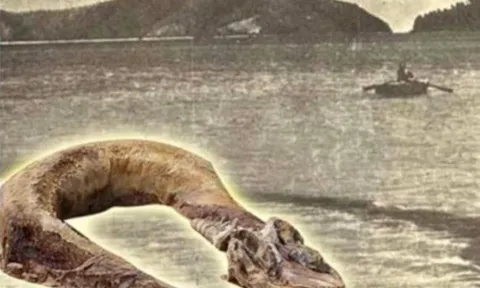 Những 'quái vật' gây ám ảnh nhất Việt Nam, có con thật sự tồn tại trên đời