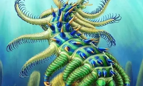 'Ớn lạnh' trước tàn tích của sinh vật giống ‘người ngoài hành tinh’ có gai và các chi có thể quẫy đạp