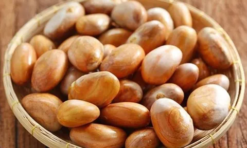 Loại hạt ở Việt Nam ‘cho không ai lấy’, sang Nhật Bản giá đắt hơn cả thịt, là đặc sản được lùng mua