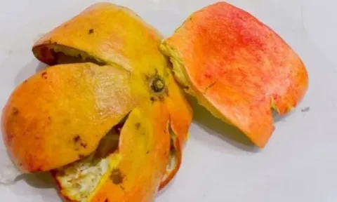 Vỏ lựu: Kho báu bị lãng quên, nhiều người không biết công dụng