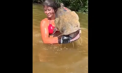 CLIP: Cô gái xinh đẹp tóm gọn cá trê khổng lồ bằng tay không