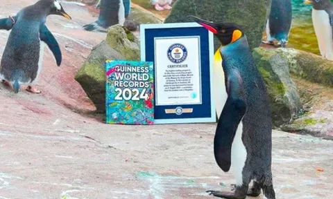 Con vật duy nhất trên thế giới đạt Kỷ lục Guinness vì mang hàm Thiếu tướng, đường binh nghiệp đầy rực rỡ