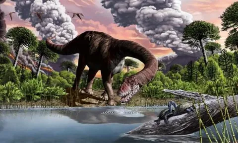 Con người đã khôi phục lại diện mạo của khủng long như thế nào sau khoảng thời gian dài 65 triệu năm như vậy?