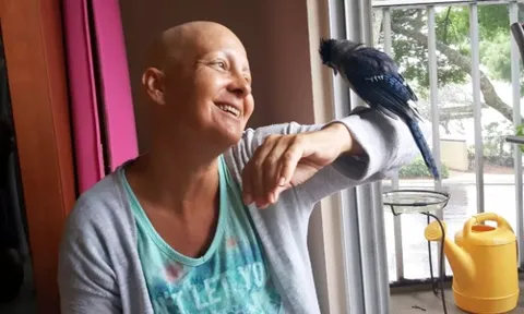 Sau khi được cứu sống, chú chim quý hiếm giúp người phụ nữ đang mắc ung thư vú dần hồi phục