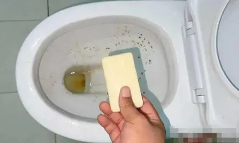 Đặt một miếng xà phòng vào bồn cầu, có tác dụng rất tốt, giải quyết được rắc rối lớn ở nhà, hãy thử ngay