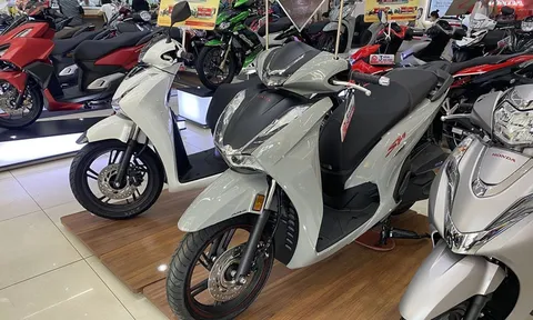 Giá xe Honda SH giữa tháng 1/2025 giảm 'thủng đáy': Khách Việt ùn ùn mua chơi Tết vì giá cực rẻ