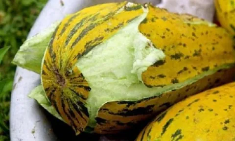 Đây là bộ phận luôn bị mọi người vứt bỏ khi ăn nhưng lại ẩn chứa tác dụng chữa bệnh 'thần kỳ'