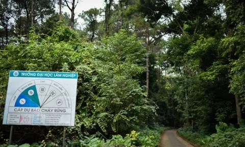 Trường đại học duy nhất ở Việt Nam có rừng trong khuôn viên: Rộng gấp 6 lần ĐH Bách Khoa, gần bằng 1 quốc gia