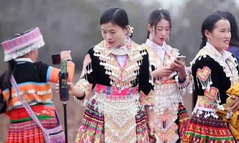 “Vạn dặm xuân vui”: Lan tỏa sắc xuân tới mọi miền Tổ quốc