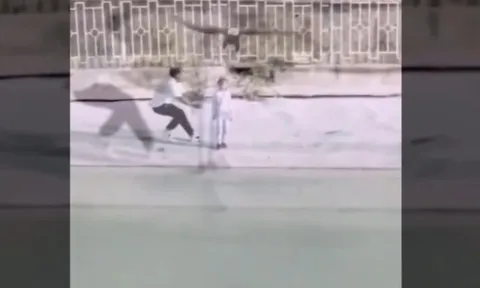 CLIP: Kinh hoàng khoảnh khắc đại bàng lao xuống, suýt “bắt” bé gái