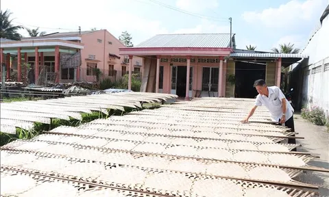 Làng nghề bánh tráng hơn 100 năm tuổi vào Xuân