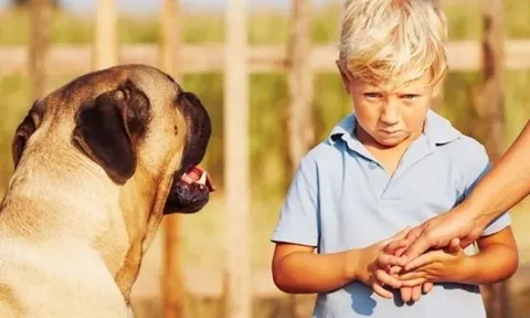Tiết lộ bí ẩn gây 'sốc' về những loài động vật có thể ngửi thấy mùi sợ hãi ở con người
