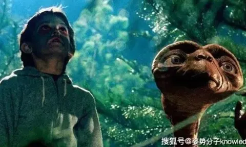 Không phải người ngoài hành tinh, con người có thể là sinh vật có trí tuệ duy nhất trong vũ trụ?