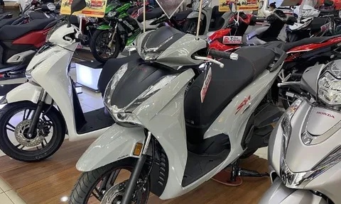 Giá xe Honda SH cuối tháng 1/2025 cực bình dân: Giá rẻ hiếm thấy cho khách Việt săn xe chơi Tết