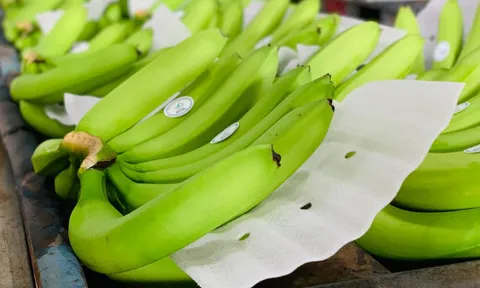 Tiêu dùng trong tuần (20/1-26/1/2025): Dưa hấu, bưởi, chuối xanh,... giá ''nhảy múa'' dịp Tết 2025