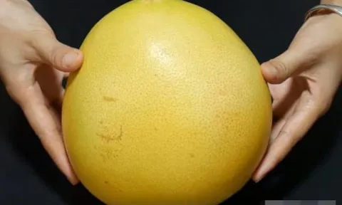 Mua bưởi nhọn hay bưởi tròn? Mẹo đơn giản để chọn ngay quả vỏ mỏng, mọng nước, ngọt lịm