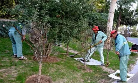 '50 không xây nhà, 60 không trồng cây, 70 không may quần áo', tại sao cổ nhân lại căn dặn như vậy?