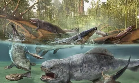 Có phải tất cả các loài khủng long đã tuyệt chủng? Trên thực tế, hậu duệ của nó đã tiến hóa của một số loài được tìm thấy ở khắp mọi nơi cạnh con người
