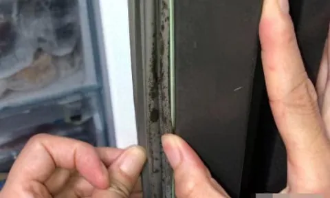 Gioăng tủ lạnh mốc đen khó chịu? Mẹo đánh bay nấm mốc và bụi bẩn chỉ trong 3 phút, không cần nước