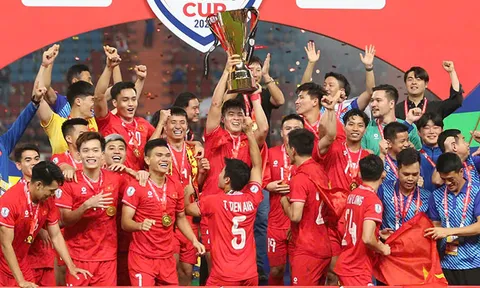 Những mục tiêu chinh phục của ĐT Việt Nam trong năm 2025