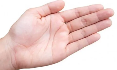 4 đặc điểm ở lòng bàn tay báo hiệu vận số giàu sang suốt đời, tài lộc hanh thông, đặc biệt là số 2