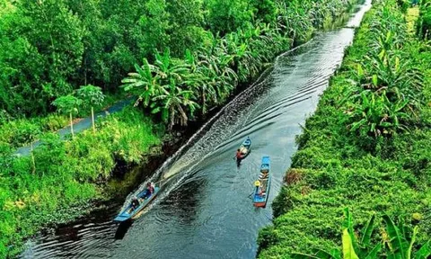 Dòng sông dài hơn 40km cắt đôi 2 khu rừng của Việt Nam được xếp loại quý hiếm bậc nhất trên thế giới