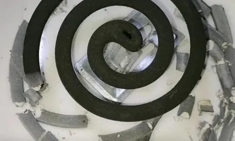 Tàn của nhang đuổi muỗi là một 'báu vật', vứt đi sẽ vô cùng lãng phí, bạn nên nhanh chóng tìm hiểu lợi ích của nó