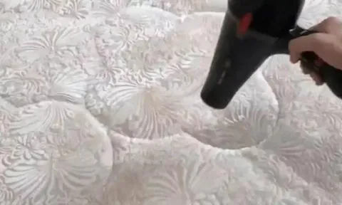 Những con mạt ve thường có nhiều trong chăn đệm! Học thủ thuật này, không cần giặt hay phơi khô, vẫn nhanh chóng loại bỏ tất cả bọ ve