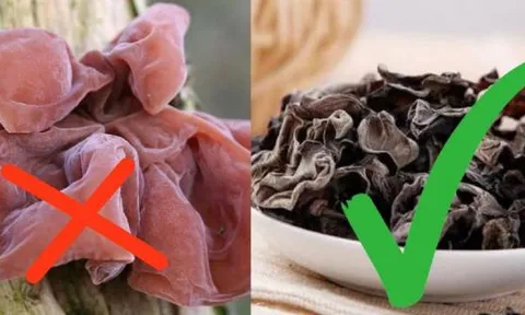 Tại sao không được ăn mộc nhĩ tươi mà phải phơi khô rồi mới đem chế biến