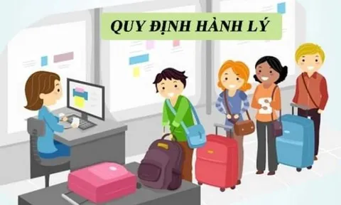 Quy định đi máy bay nội địa và quốc tế chi tiết, mới nhất 2025