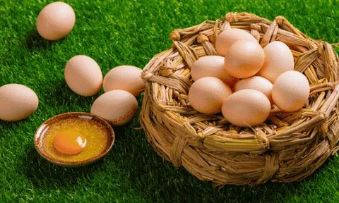 Trứng nào bổ dưỡng hơn: Trứng gà, trứng vịt, trứng ngỗng hay trứng cút? Và đây là câu trả lời...