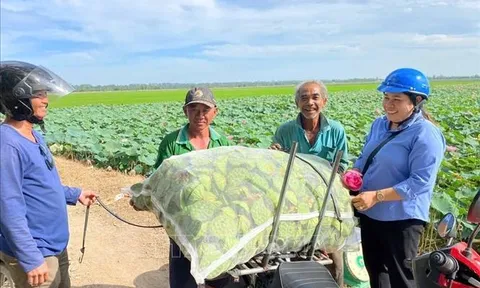 Ứng dụng công nghệ, chuyển sản xuất nông nghiệp theo hướng 'thuận thiên'