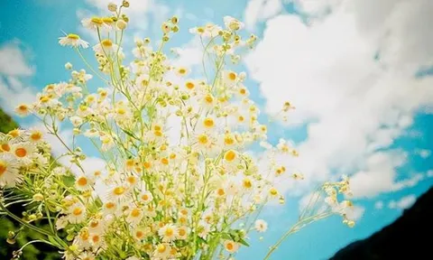 Ở độ tuổi 50, cho dù giàu hay nghèo cũng đừng liên lạc qua lại với những loại người sau vì nó chẳng có ý nghĩa gì cả