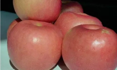 Khi mua táo, chỉ cần ghi nhớ một 'mẹo nhỏ', nhìn sơ qua có thể biết táo ngọt hay không, phương pháp rất hay