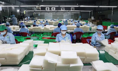 Nâng tầm đặc sản OCOP, mở ra cơ hội xuất khẩu