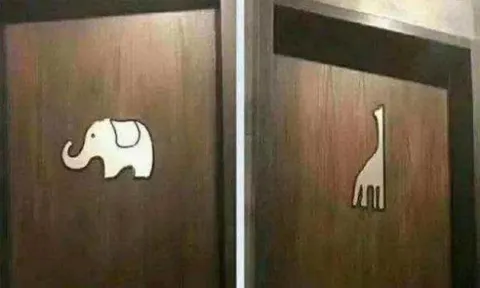 Có hình một con voi và một con hươu cao cổ trên cửa nhà vệ sinh, con nào là con đực và con nào là con cái? Sau khi đọc, bạn sẽ không đi vệ sinh nhầm