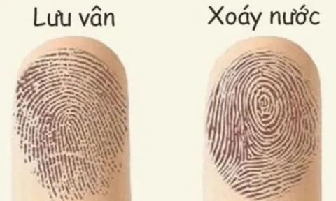 Giàu sang hay nghèo khó, chỉ cần xòe bàn tay, nhìn ngón cái là biết ngay