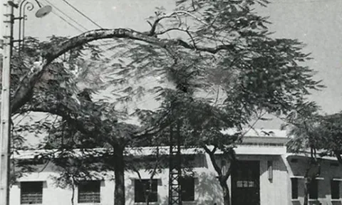 Nơi đầu tiên ở Việt Nam có điện: Không phải Hà Nội hay Sài Gòn, nay là thành phố lớn thứ 3 cả nước