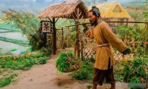 Cổ nhân có câu: 'Phụ nữ ngón tay ngắn không bao giờ thiếu cơm ăn áo mặc'? Đang nói đến ngón tay nào? Điều đó có hợp lý không?